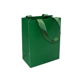 Sac papier vert gaufré poignées ruban L.18 x P.10 x H.23cm 250g/m² - Paquet de 20 - Sacs pelliculés unis, poignées ruban