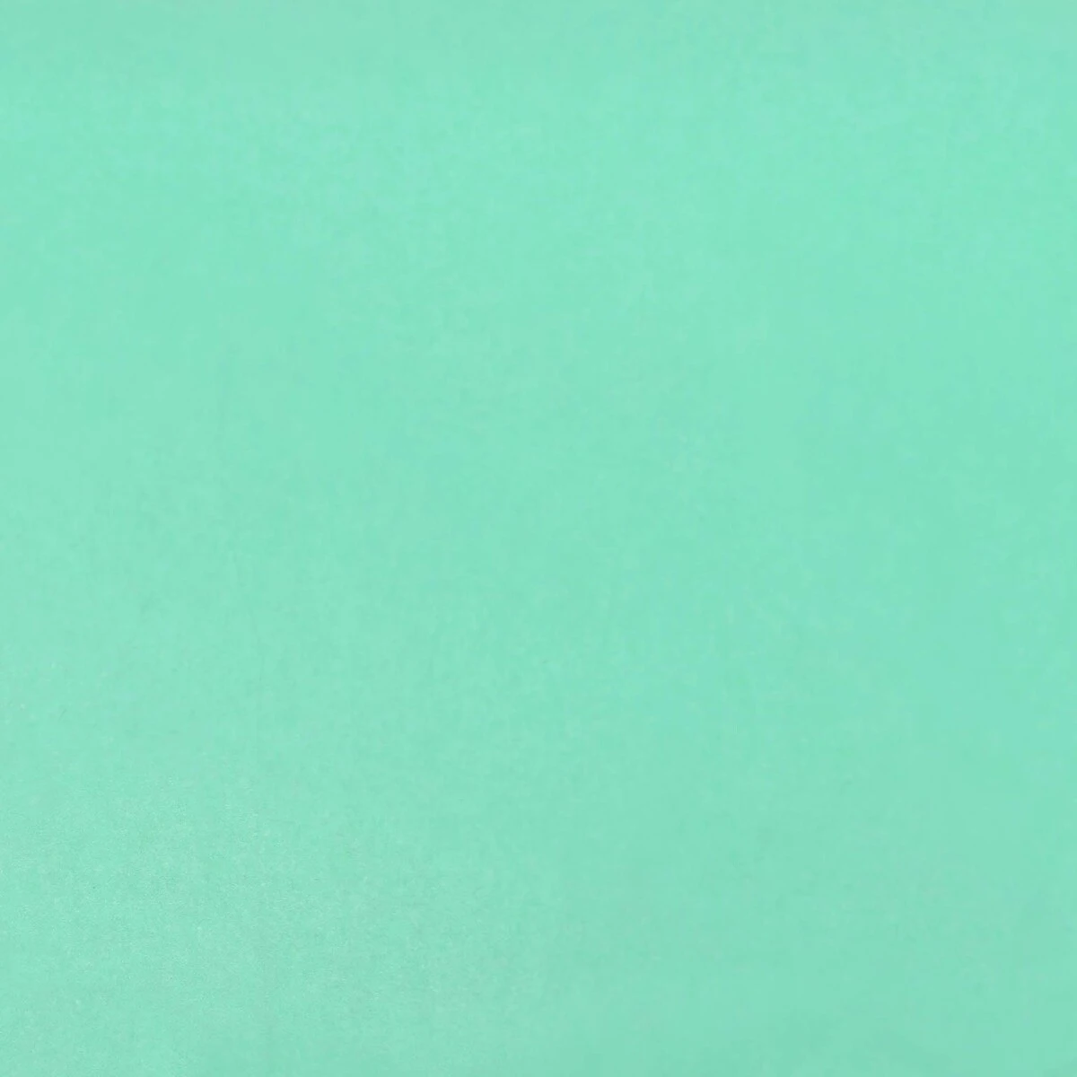 Papier de soie vert d'eau 17g/m² L.50 x P.75cm - paquet de 240 - Papiers de soie