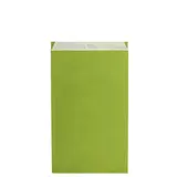 Pochette cadeau kraft vergé vert anis 18 x 6 x 33,5 cm - Sachet kraft - Lot de 250 - Pochettes cadeaux unies