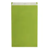 Pochette cadeau kraft vergé vert anis 30 x 9 x 49,5 cm - Sachet kraft - Lot de 250 - Pochettes cadeaux unies