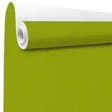 Papier cadeau kraft vergé vert anis uni 70 cm x 100 m 60 g/m² – le rouleau - Papiers cadeaux kraft, Papiers cadeaux unis
