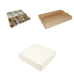 Boîtes traiteur, Boîtes plateaux traiteur