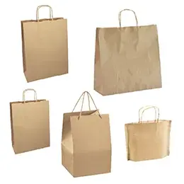 Sacs kraft brun poignées torsadées