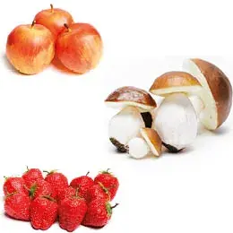Aliments factices